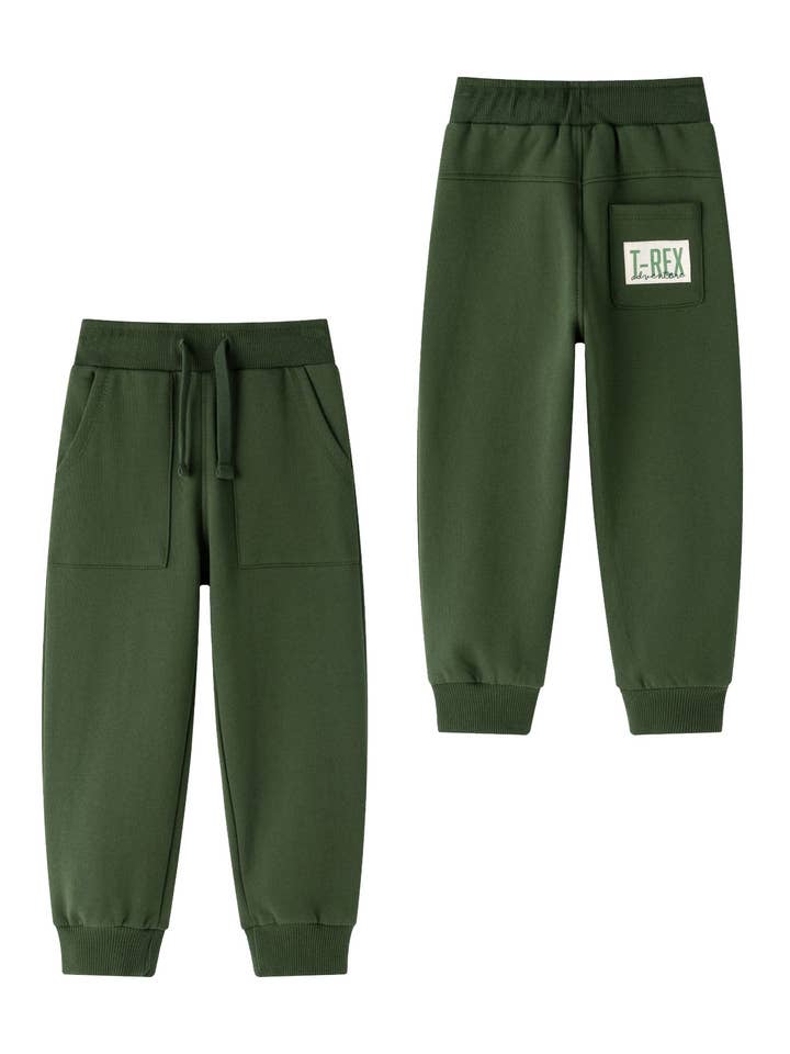 Fleece-lined boys' sweatpants JBI65219 for wholesale by Newness Kids