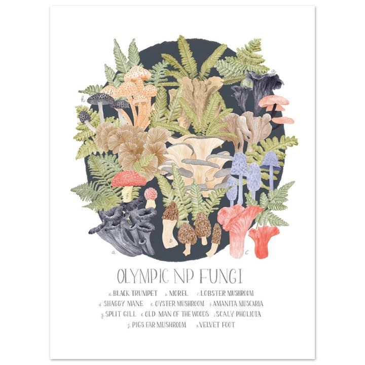 Impression d'art de champignons du parc national olympique pour la vente par Stacy Hsu Design & Illustration