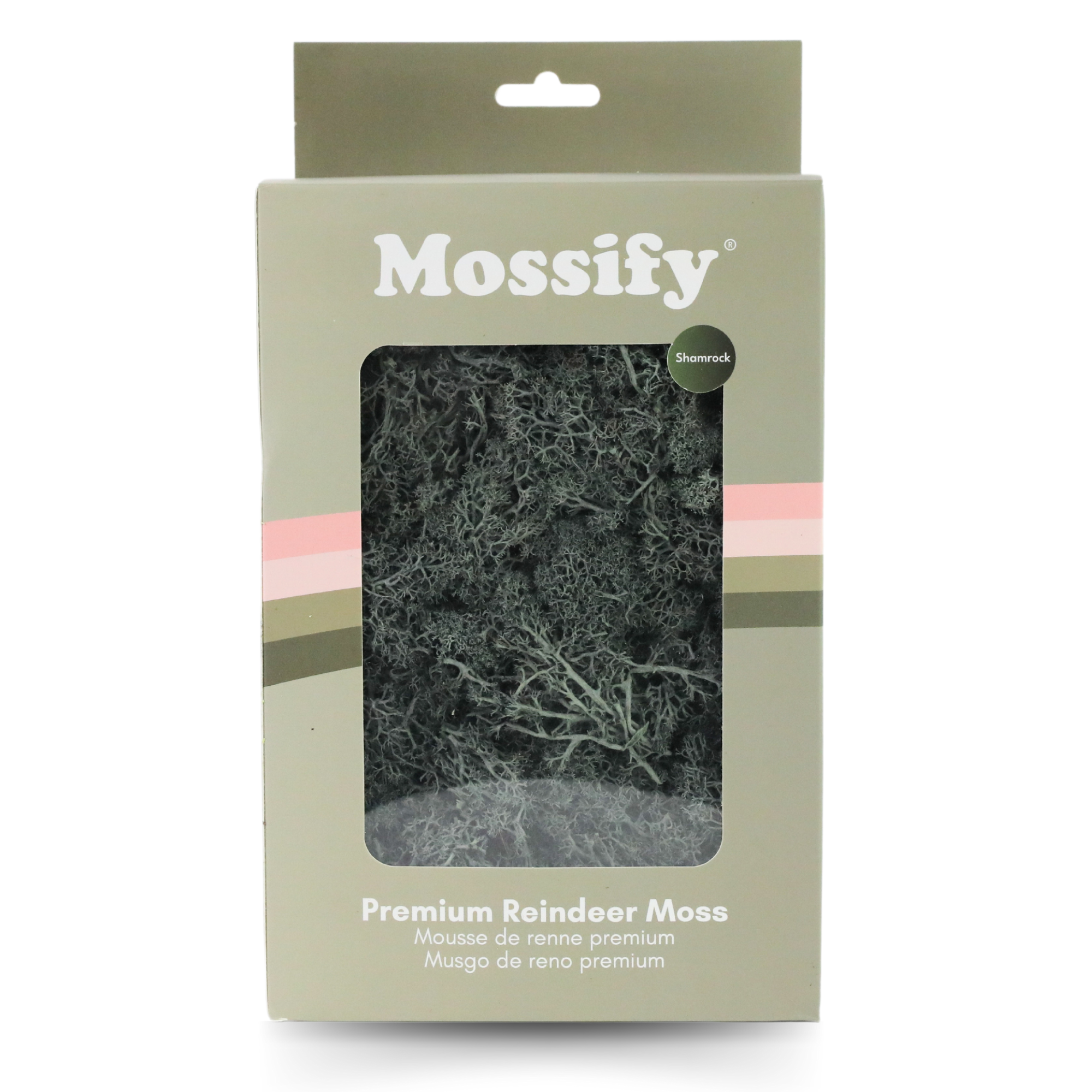 Mossify - Wholesale Live Plant - Premium Preserved Reindeer Moss – Colorful Decorative Mix1