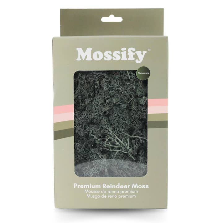 Mossify - Wholesale Live plant - Premium Preserved Reindeer Moss – Colorful Decorative Mix1