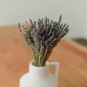 32 English Dried Lavender Bundles, Unsleeved Seconds