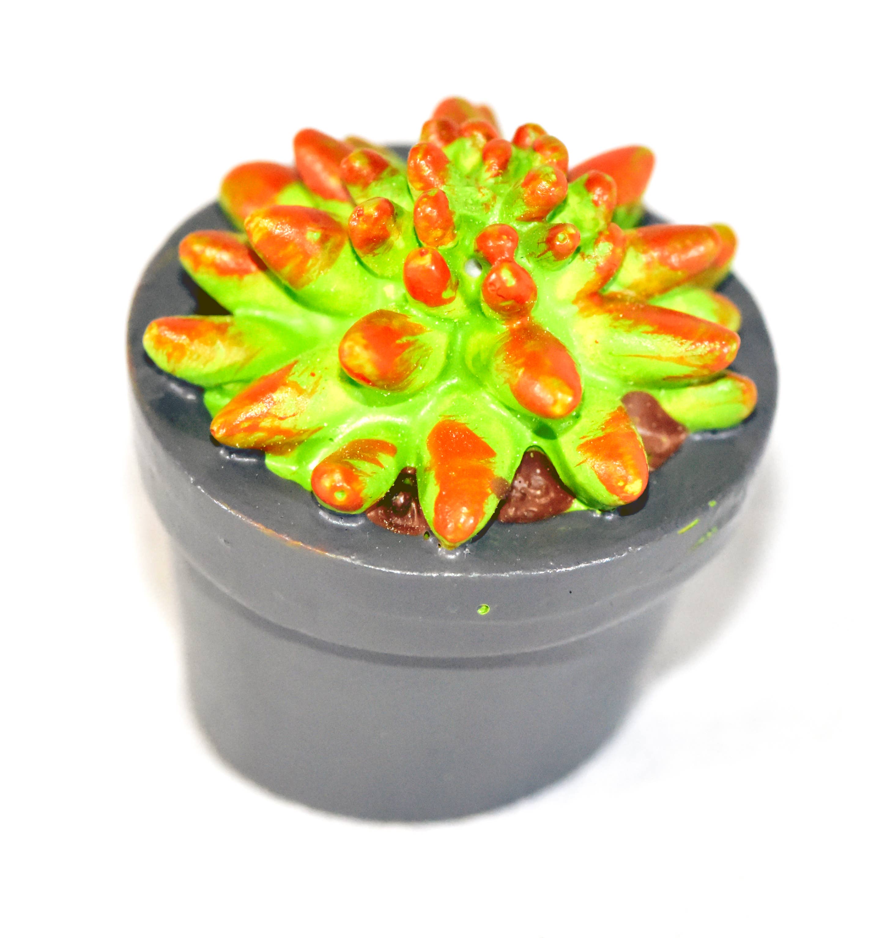 G & F Products - Wholesale Succulent - Garden Miniature Succulent, 4 pc2