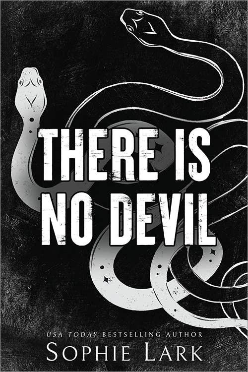 Sourcebooks - Wholesale Thriller & Suspense - There Is No Devil0