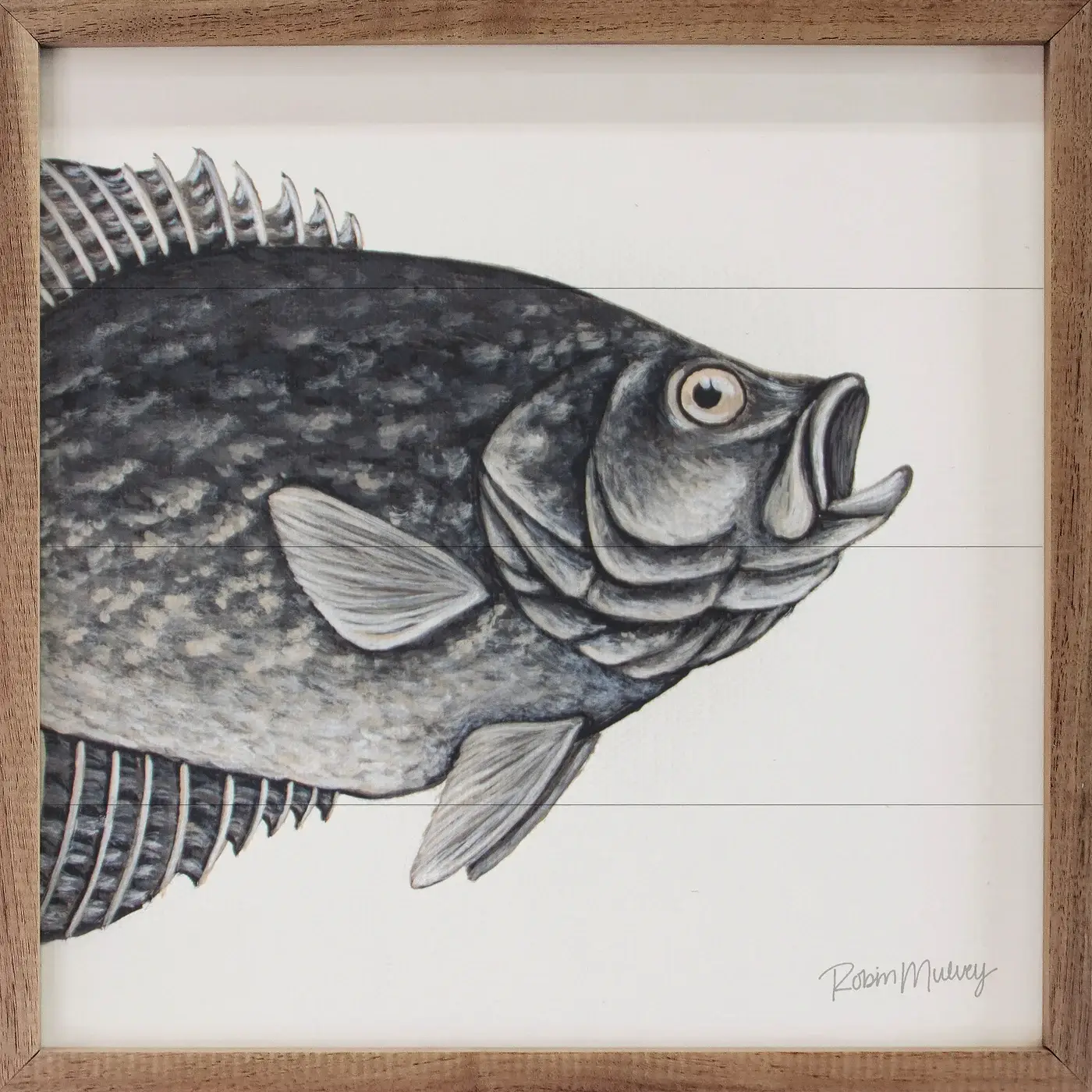 Kendrick Home - Wholesale Art Print - Crappie By Robin Sue Studio0