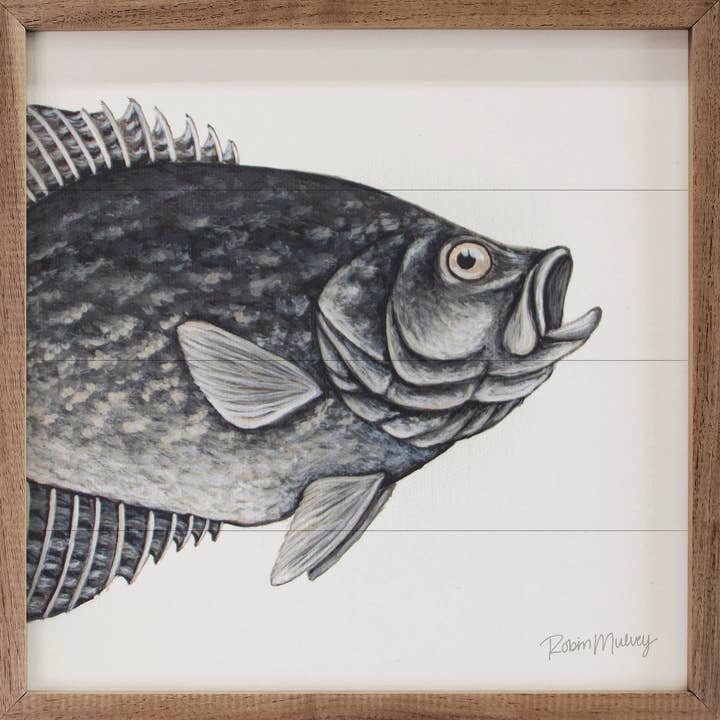 Kendrick Home - Wholesale Art Print - Crappie By Robin Sue Studio