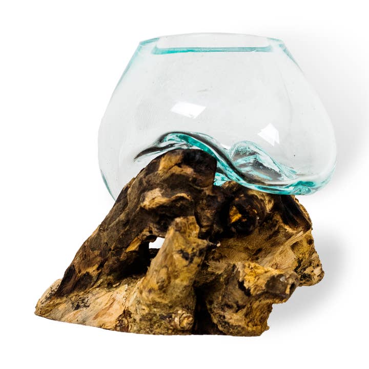 Mini Root with Blown Glass Bowl for wholesale by T.I. Design