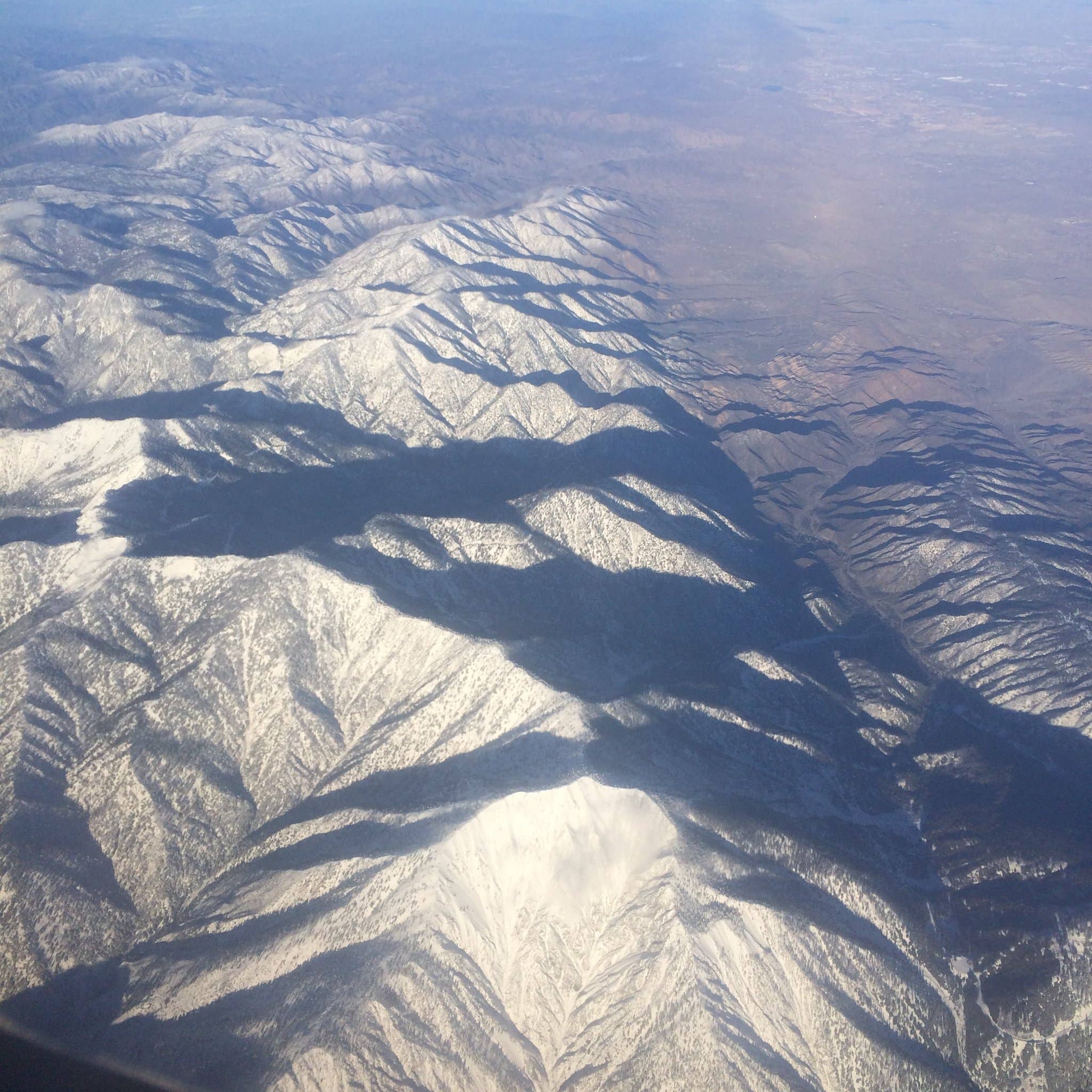 Fresh Pickins - Wholesale Healing Salve/Balm/Cream - Wipeout Balm Sore Muscle (2oz)2