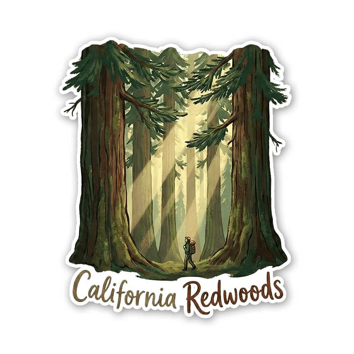 Séquoias - Autocollant Randonneur Rayons de Lumière pour la vente par Sticker Atlas