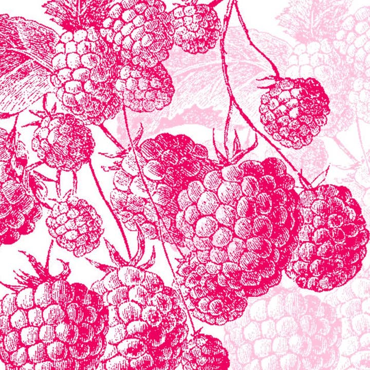 Raspberries for wholesale by Bien Ecrit