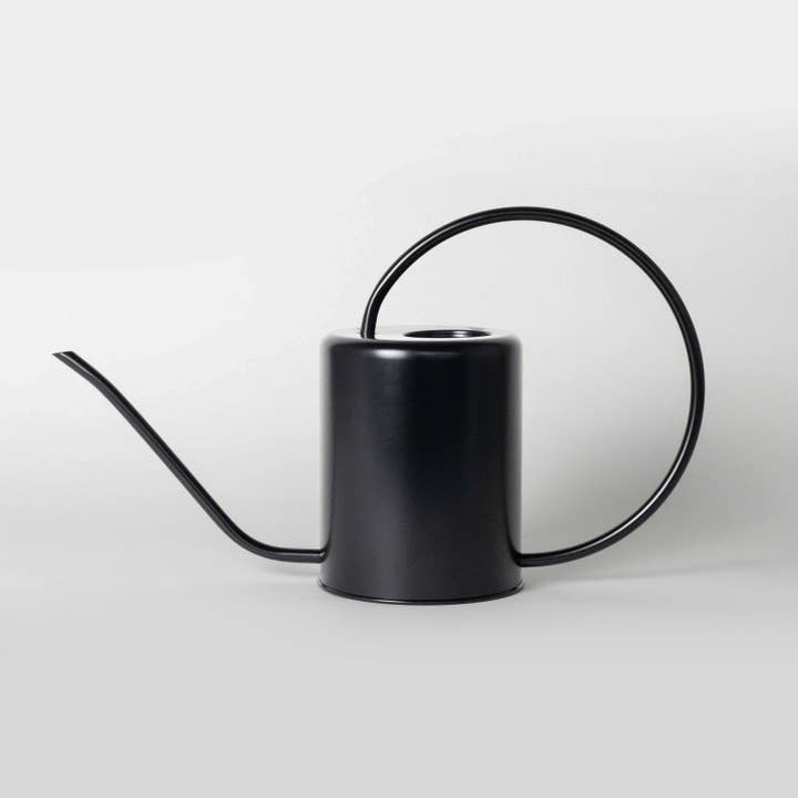 Kanso Designs - Wholesale Watering Can - 2L Stainless Steel Watering Can