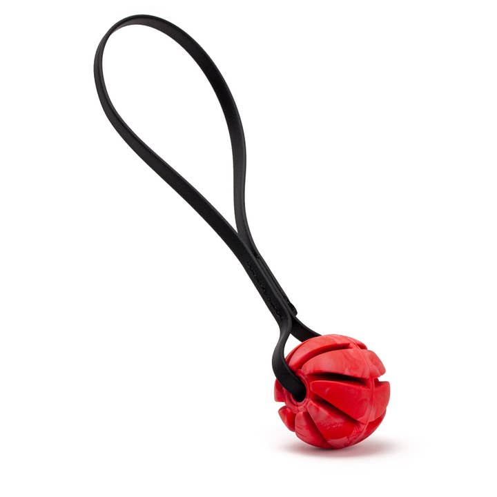 Dogline - Wholesale Pet Fetch Ball - Dog - Rubber Spiral Ball with Biothane Handle3