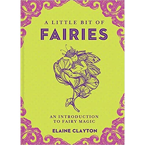 Little Bit of Fairies : Introduction à la magie des fées pour la vente par Microcosm Publishing & Distribution