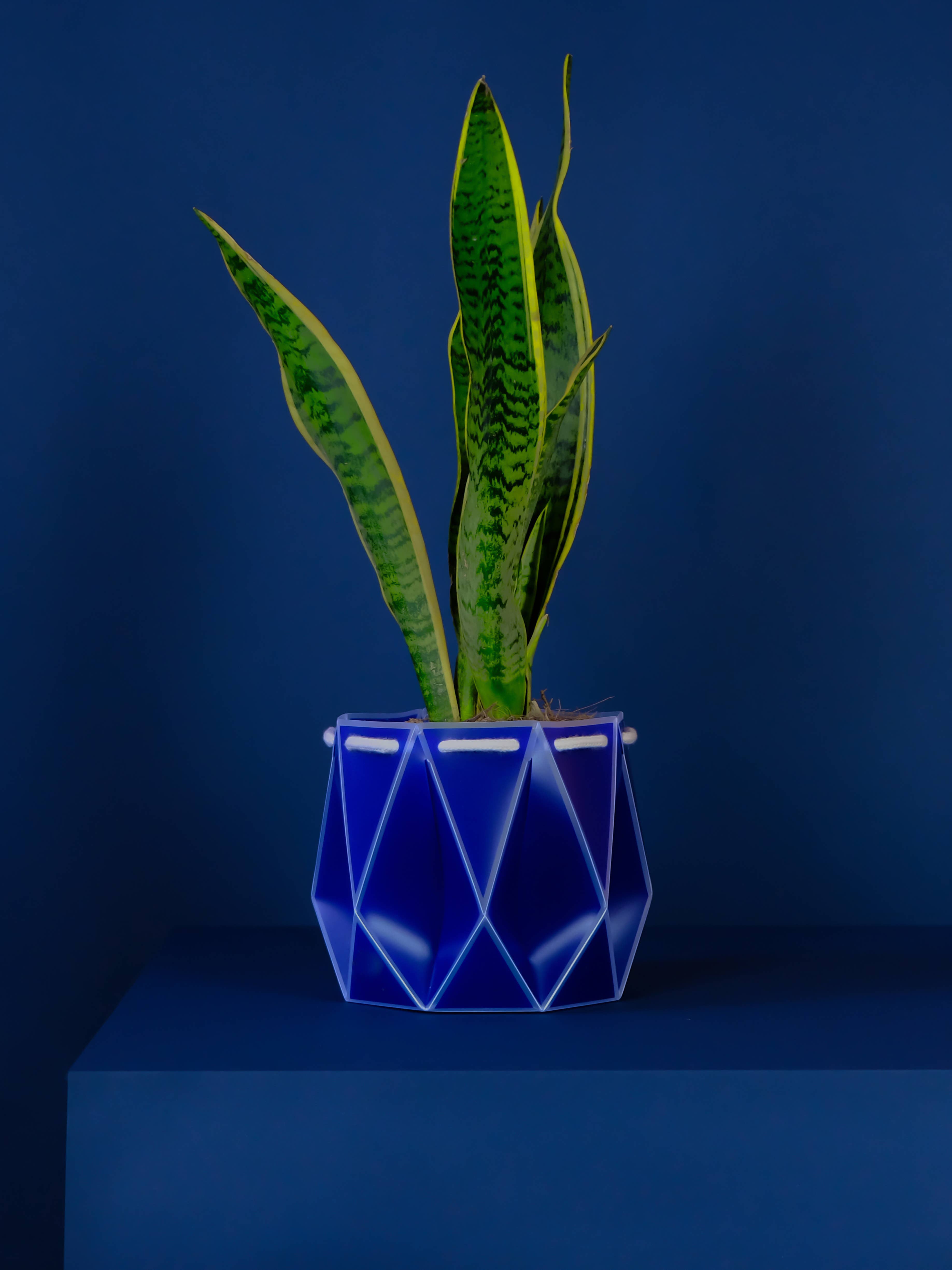 POTR - Wholesale Plant pot - 18cm Self-watering POTR | Navy Blue