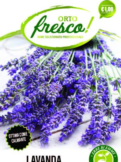 Lavender for wholesale by Sementi & Barbatelle