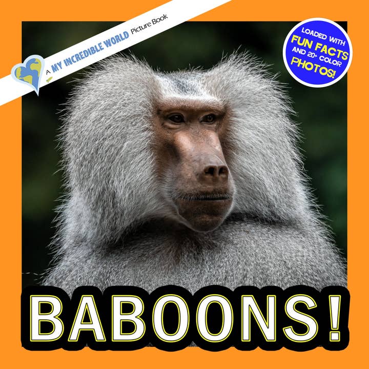 Baboons! A My Incredible World Picture Book for Children for wholesale by My Incredible World