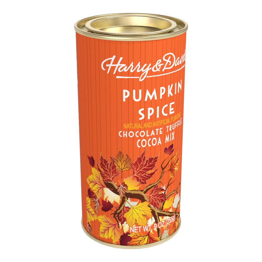 McSteven's - Vente Préparations/kits pour chocolat chaud - H&D® Chocolat Chaud Épice de Citrouille d'Automne (Boîtes de 255g)2