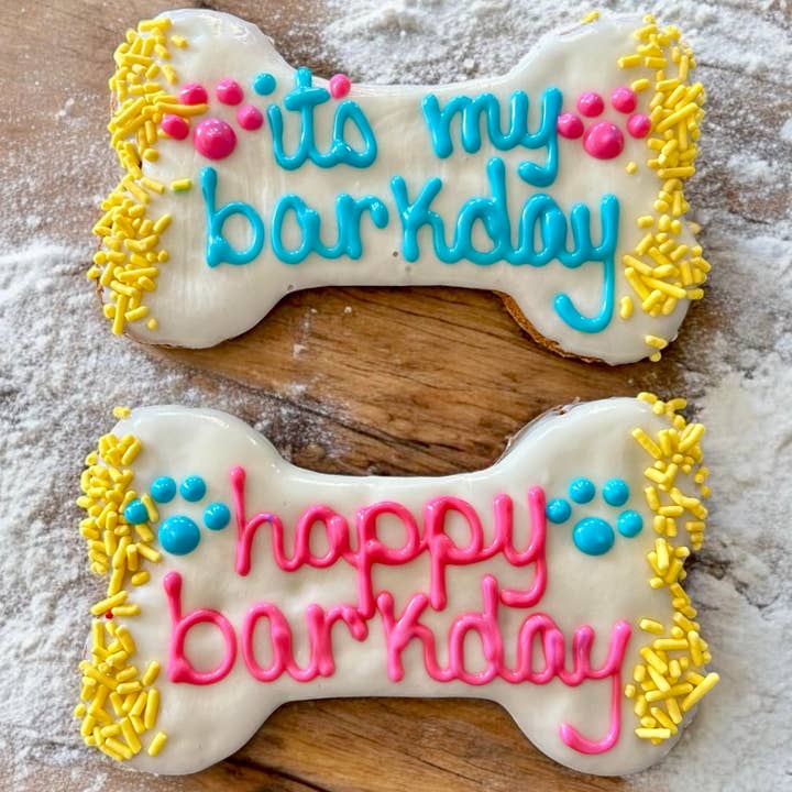 YumYum4DOGS - Wholesale Pet Treats - Dog - 6 inch Vibrant Barkday bones dog treats2