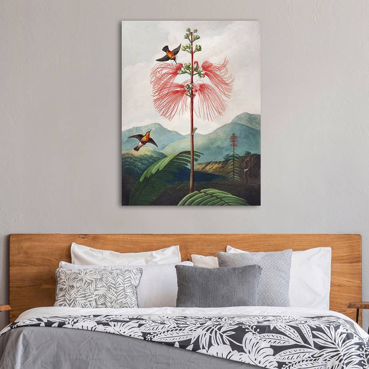 Selected Artworks Italia - Wholesale Art Print - Botanical painting: Robert John Thornton, Sensitive Plant1