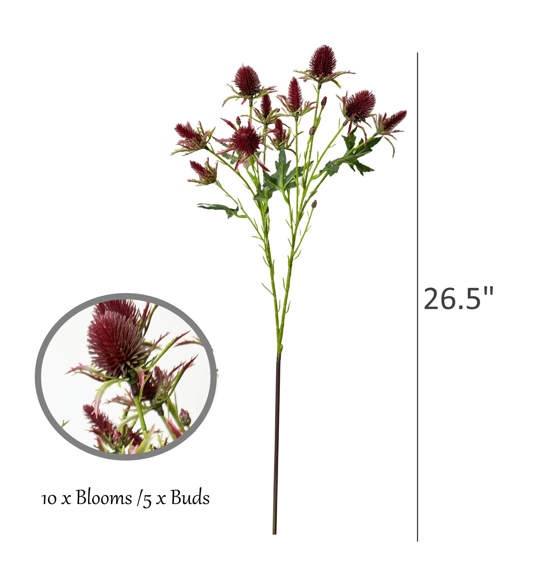 Angel Isabella - Wholesale Artificial Flowers - 26" Artificial Thistle Eryngium Sea Holly-10Flowers 4