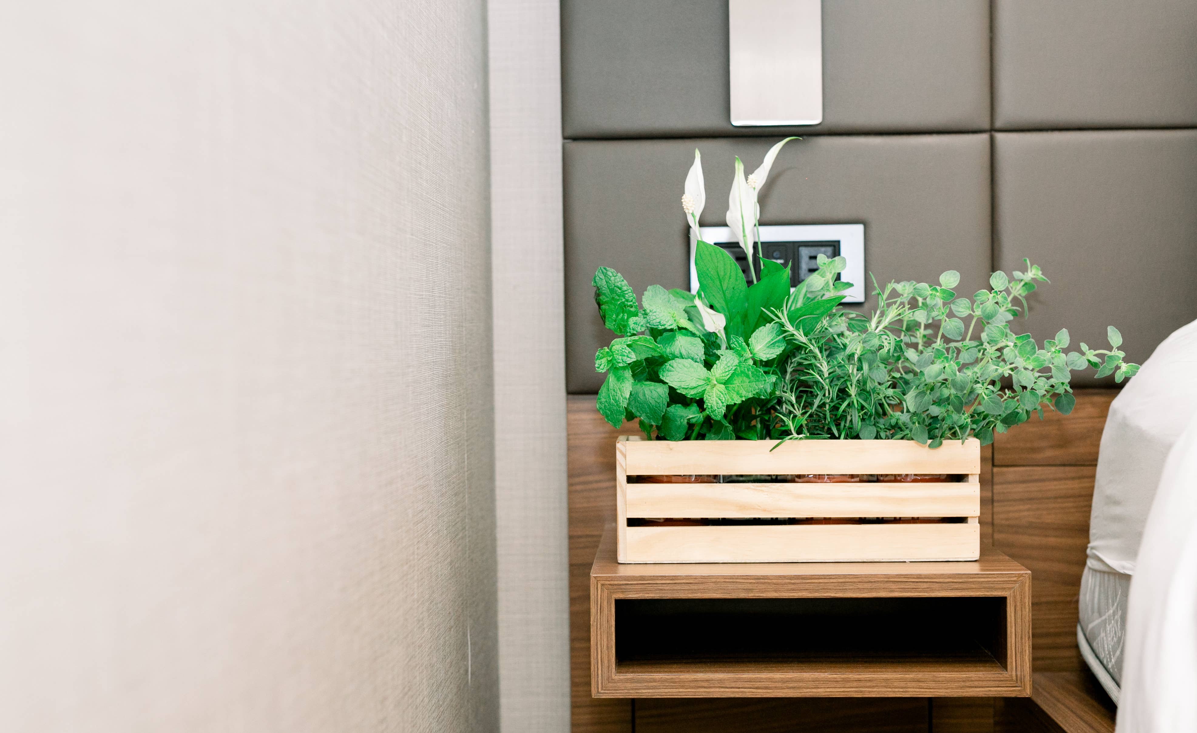 UNIMIX FLORAL – Großhandel Hochbeet – Holzkisten-Pflanzgefäße mit Kunststoffeinsatz, 30 x 10 cm5