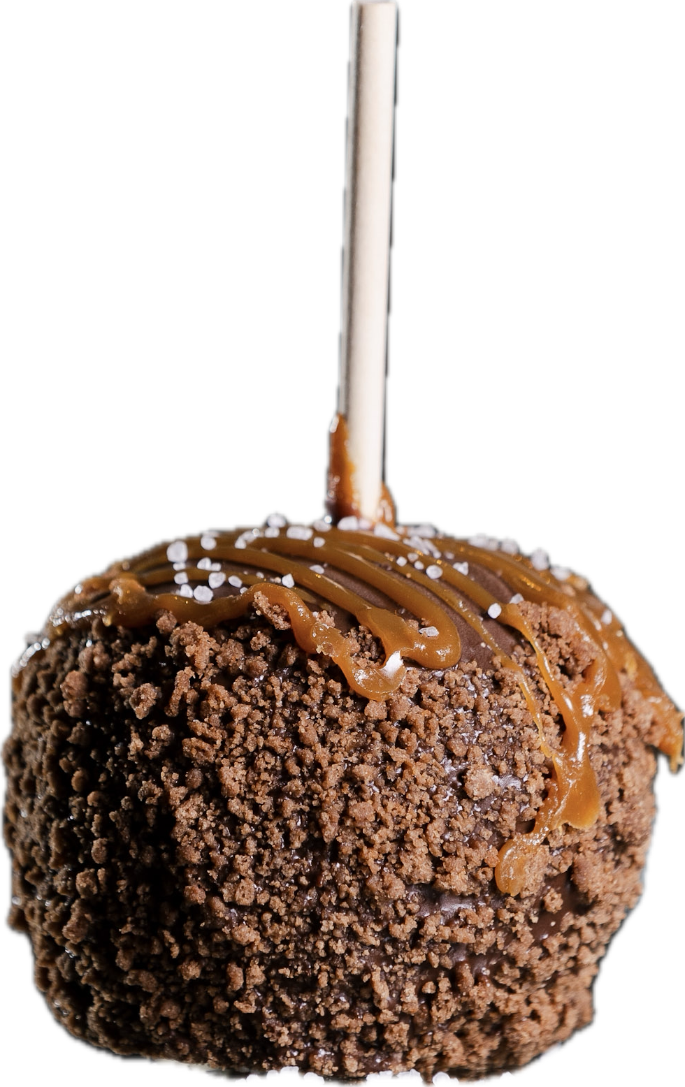 Simply Amazing Apples - Wholesale Chocolate Covered Sweets - Salted Caramel Brownie Milk Chocolate Caramel Apple1