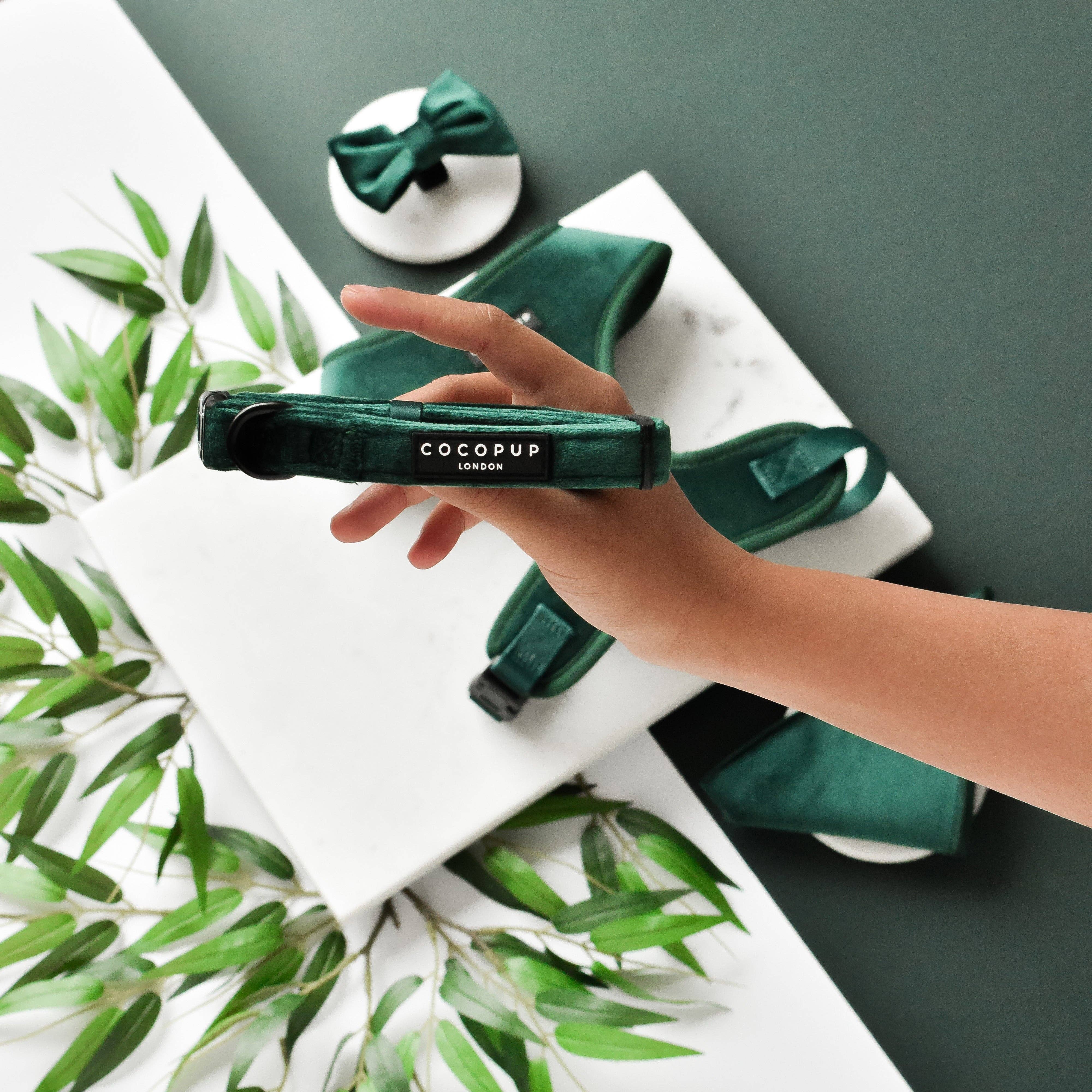Cocopup London - Wholesale Pet Collar - Dog - LUXE Velvet Collar - Forest Green0