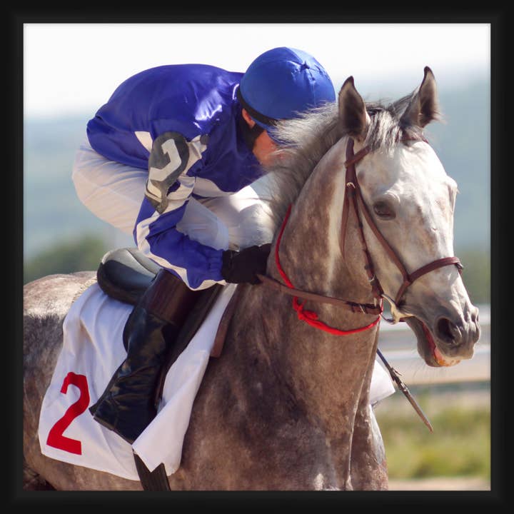 Horse Race 20'' x 20'' Framed Wall Art for wholesale by PTM Images