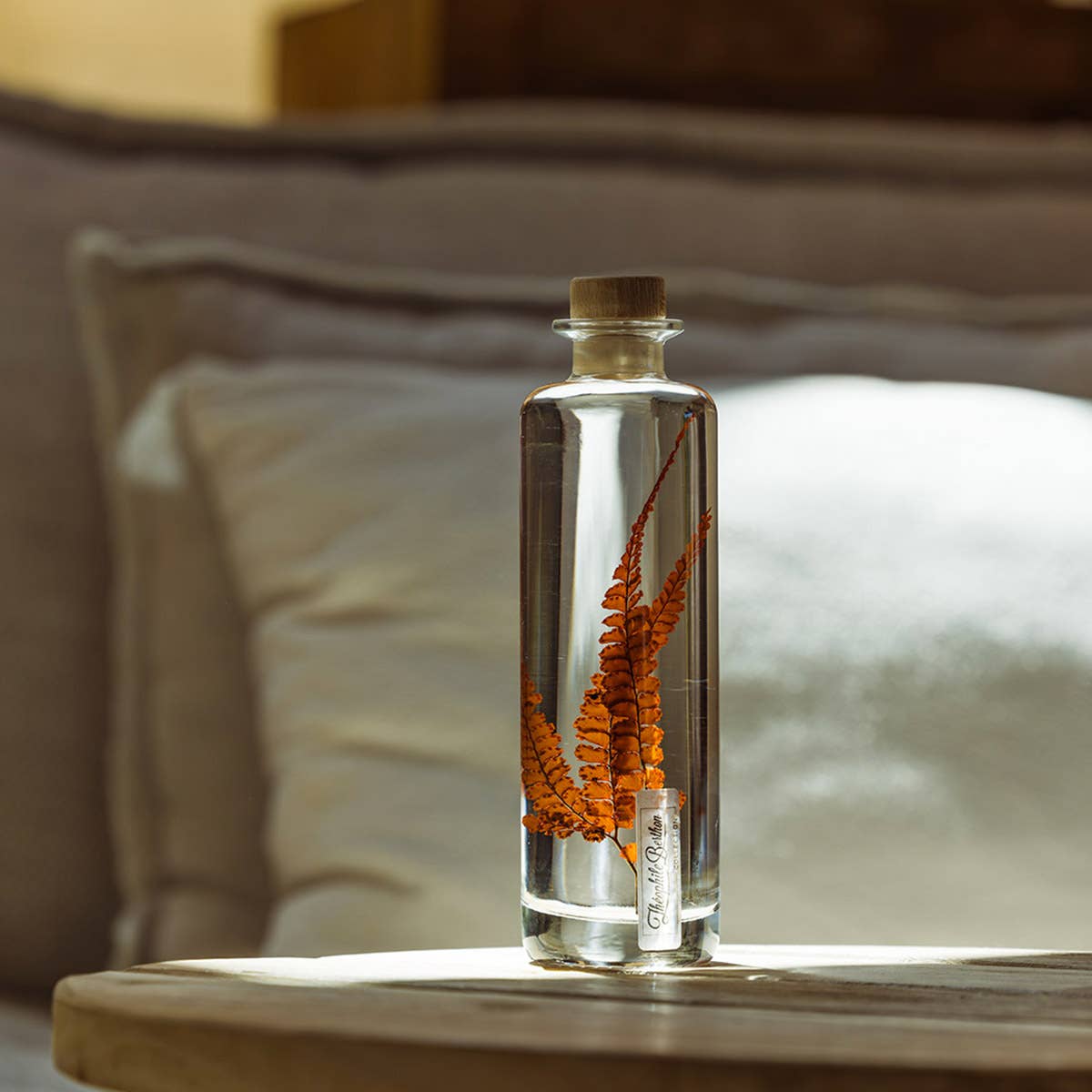 Theophile Berthon - Wholesale Live Plant - The Felci Red Fern Herbarium - submerged plant1