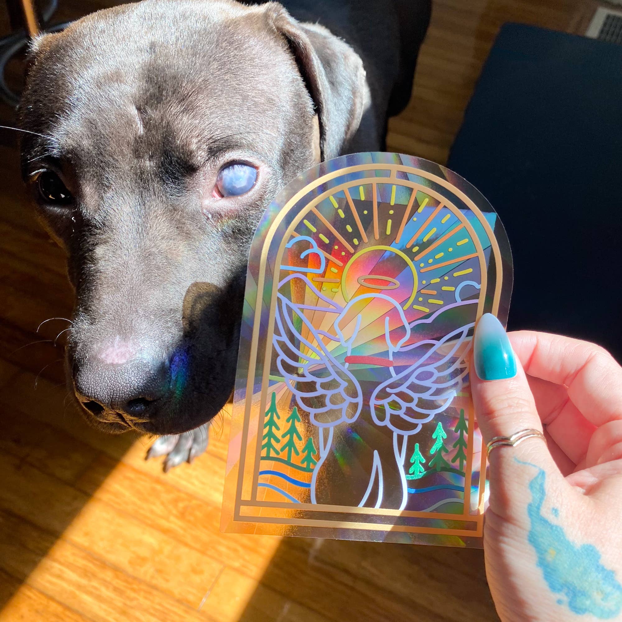 Chelzart - Vendita all'ingrosso Acchiappasole - Adesivo Memoriale per Animali con Arcobaleno Riflettente | Regalo Commemorativo Chelzart8