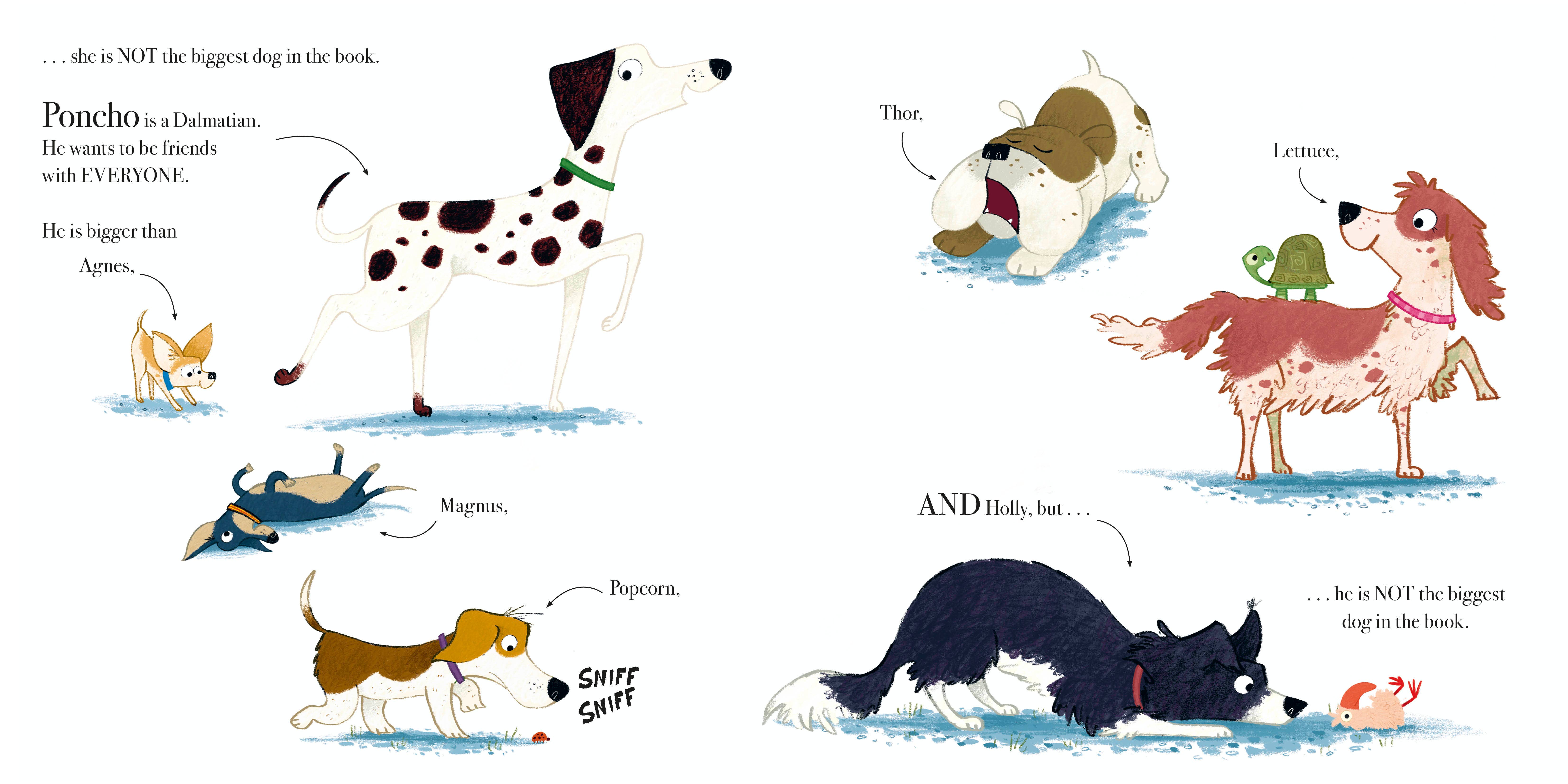 Penguin Random House LLC - Wholesale Preschool Book (3-5) - Biggest Dog In Book4