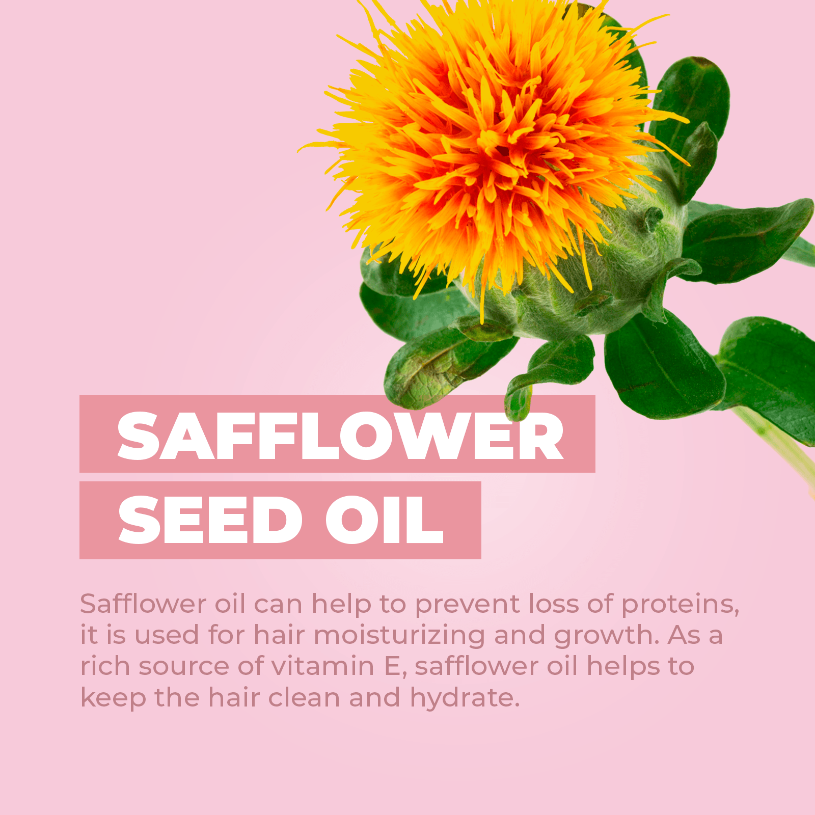 Baby Jolie - Vente Après-shampoing – bébé - Après-shampooing pour bébé | 7,5 oz (221 ml)5