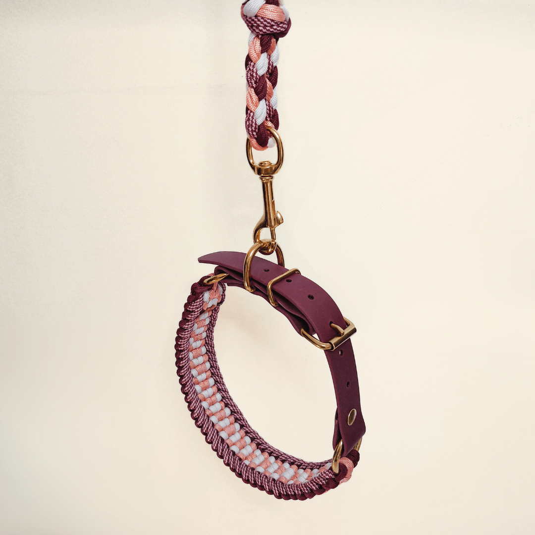 Truffe & Flair – wholesale Halsband - Hund – Flätat hundhalsband i Biothane och paracord - Hallonröd5