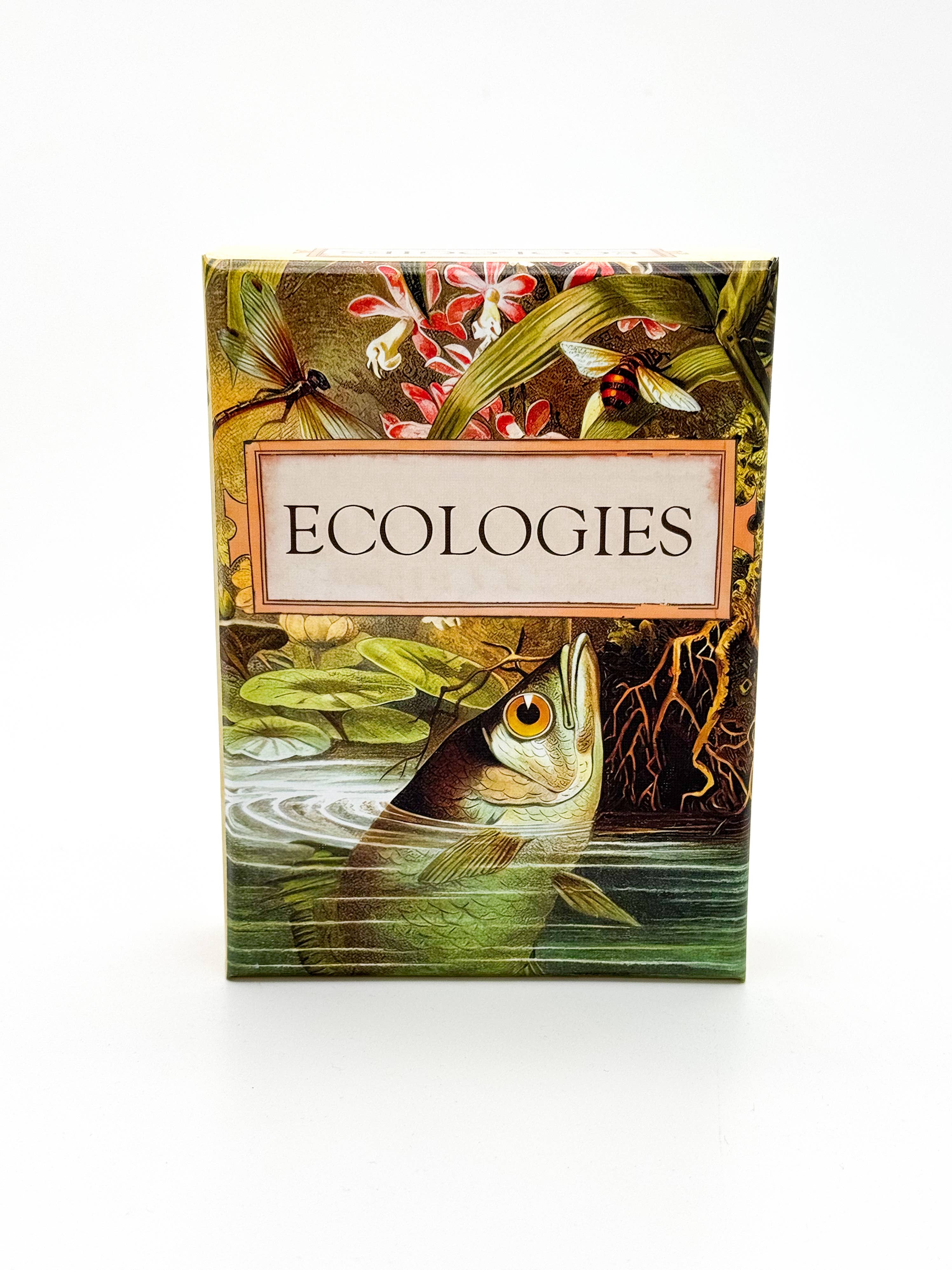Montrose Biology - Wholesale Card Game - Ecologies Card Game