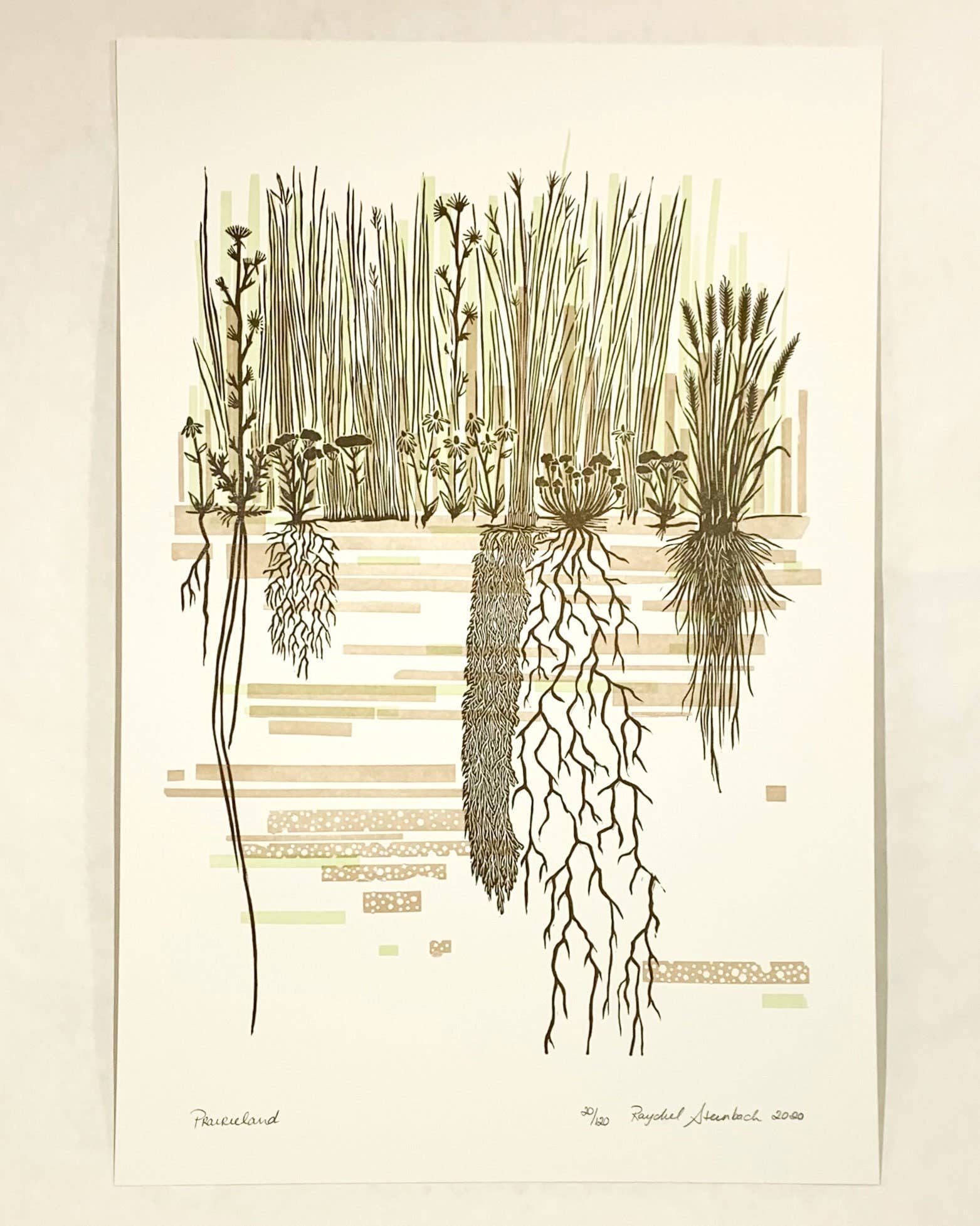 Current Location Press - Wholesale Art Print - Prairieland II - Limited Edition Letterpress Print4