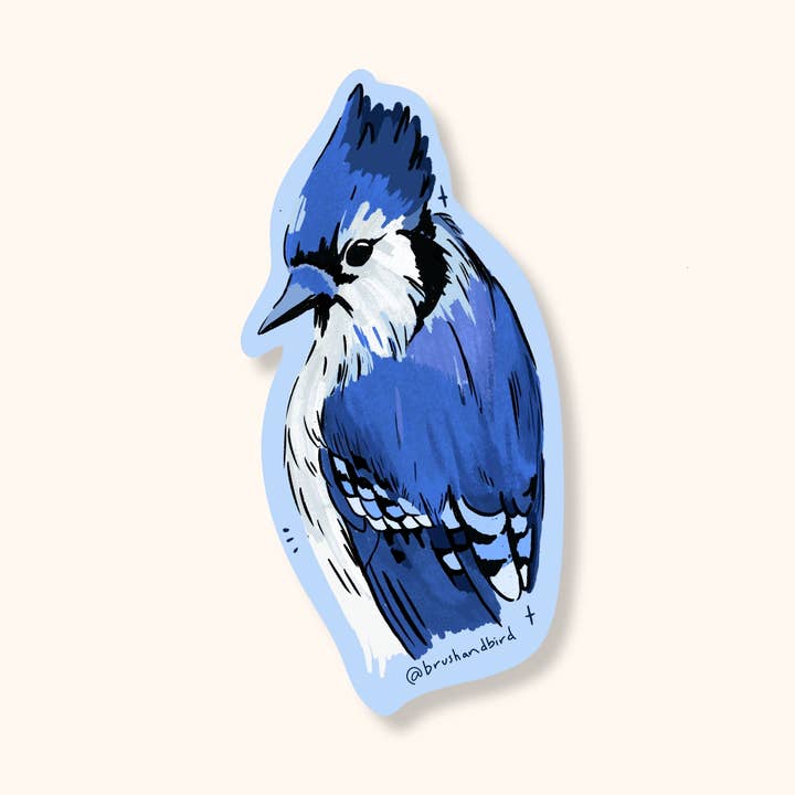 Autocollant en vinyle Geai bleu | Design de la nature canadienne pour la vente par Brush + Bird Paper Co.
