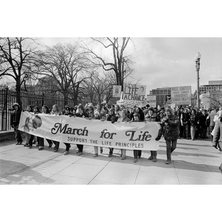 W. W. Norton - Wholesale Law - We the People: A History of the U.S. Constitution8