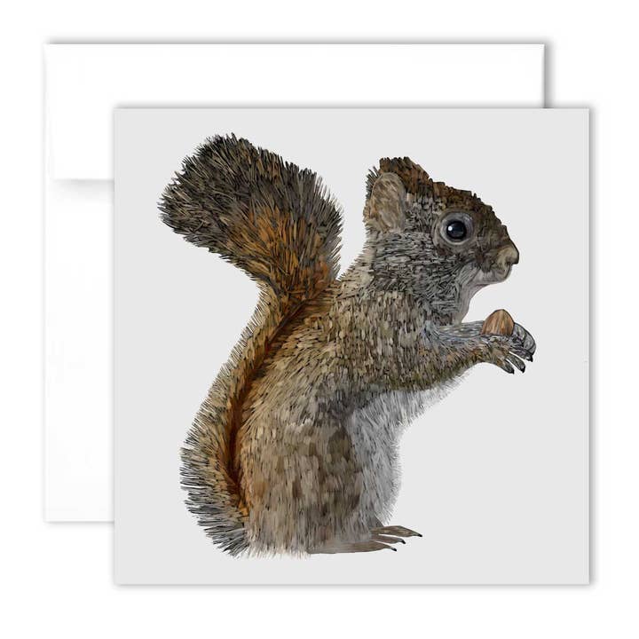 Wenskaart - American Red Squirrel voor wholesale door Unperfekt Studios