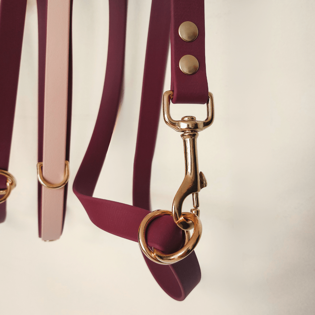 Truffe & Flair - Wholesale Pet Leash - Dog - Dog multi-position leash - Biothane - Raspberry2