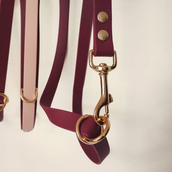 Truffe & Flair - Wholesale Pet Leash - Dog - Dog multi-position leash - Biothane - Raspberry2