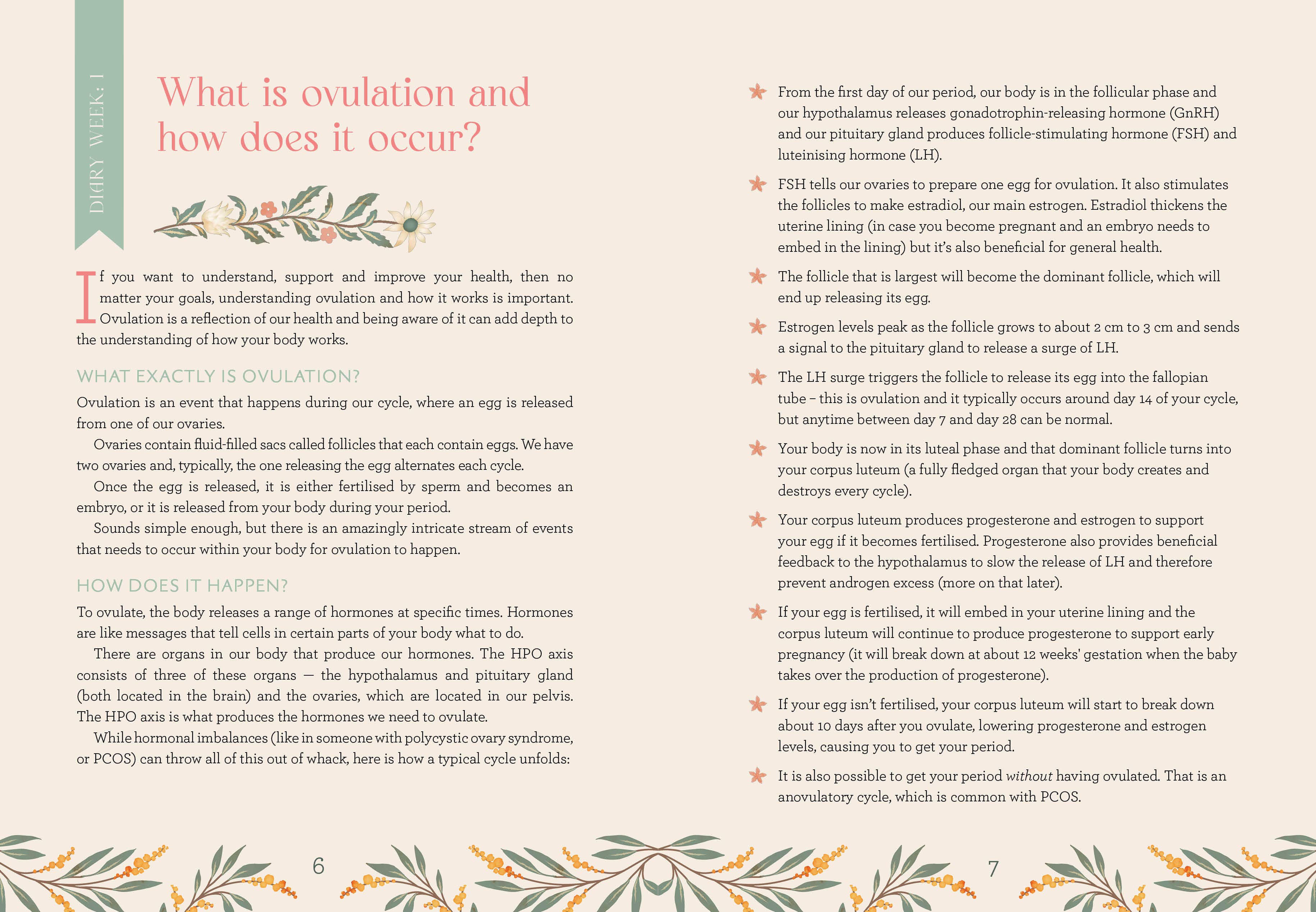 ROCKPOOL PUBLISHING - Vente Journal intime - Mon journal de bien-être3