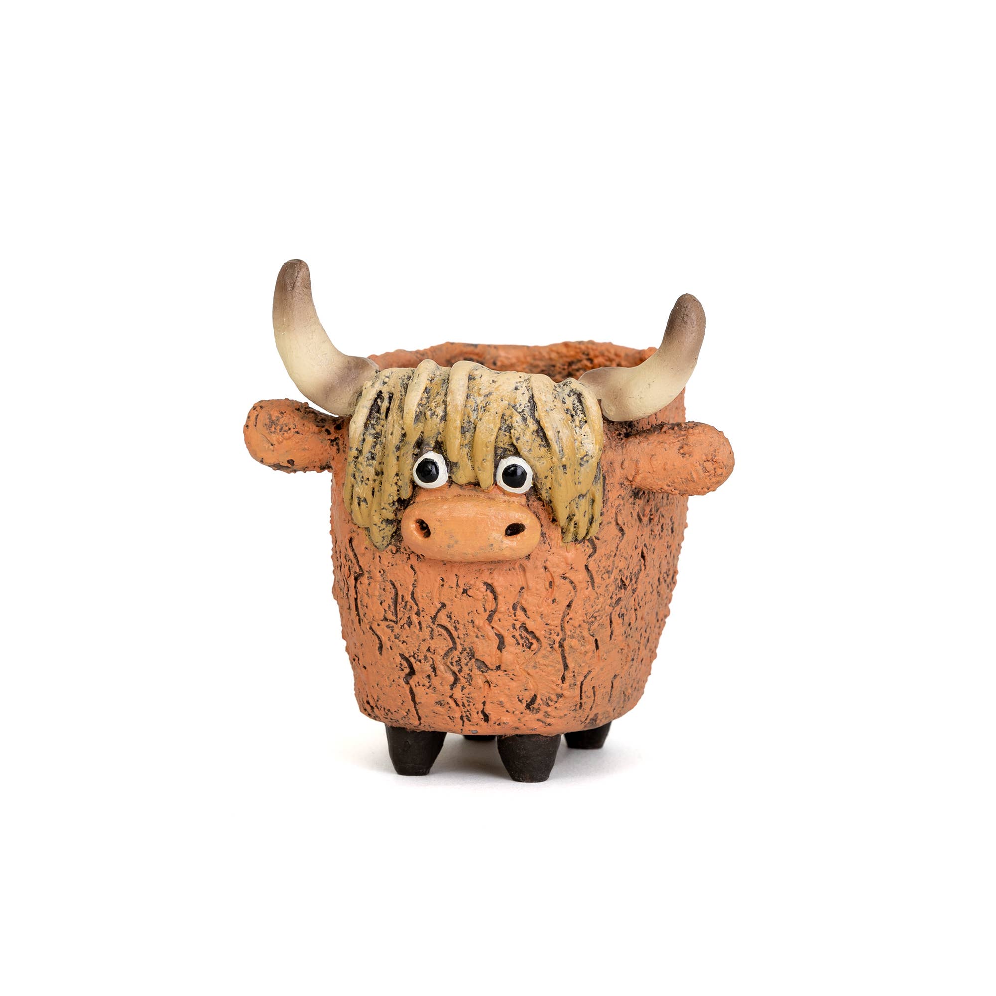 Cohasset Gifts - Wholesale Plant Pot - Dougal the Highland Cow Blobhouse Planter0