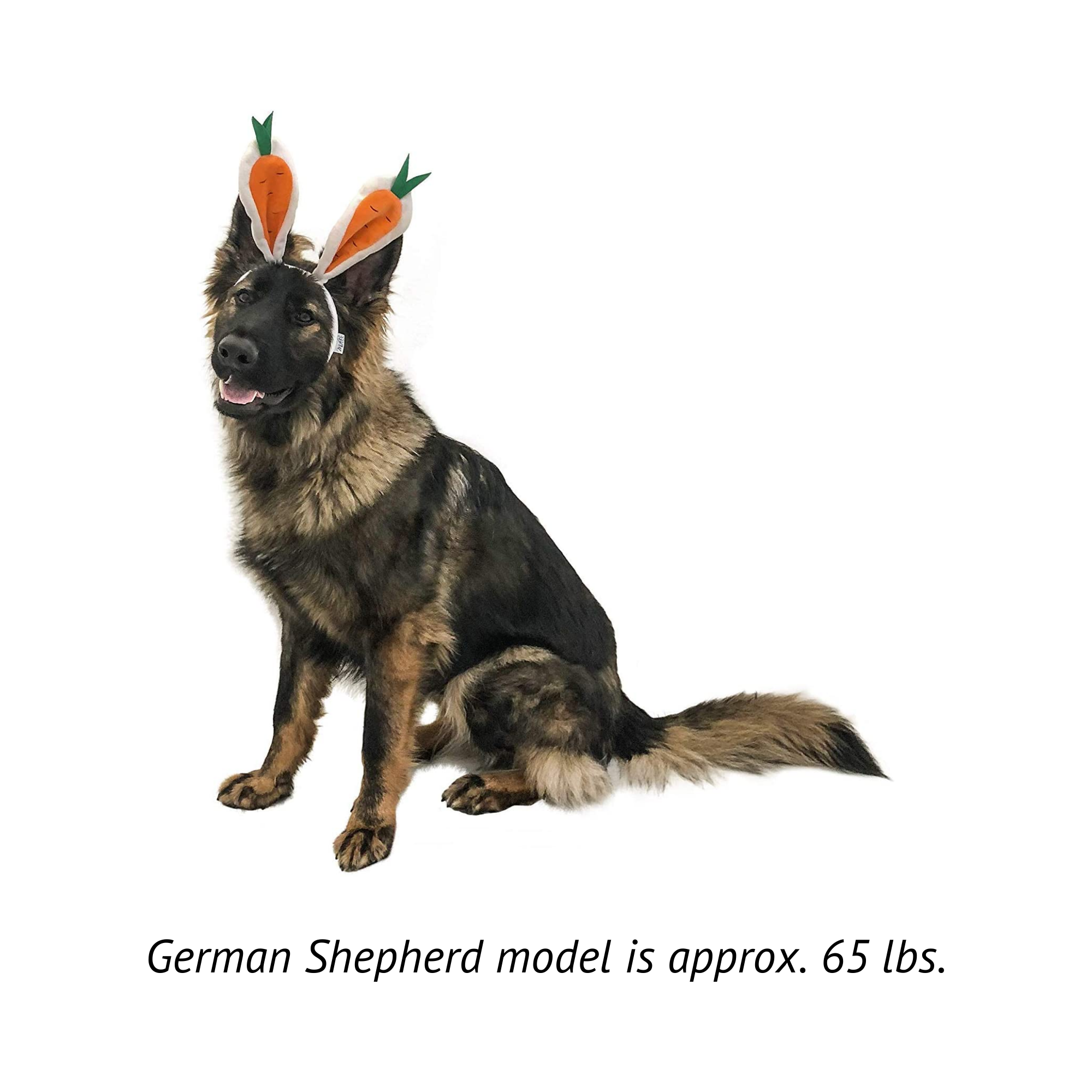 Midlee Designs - Wholesale Pet Hat - Dog - Midlee Carrot Bunny Ears Easter Dog Headband Costume11