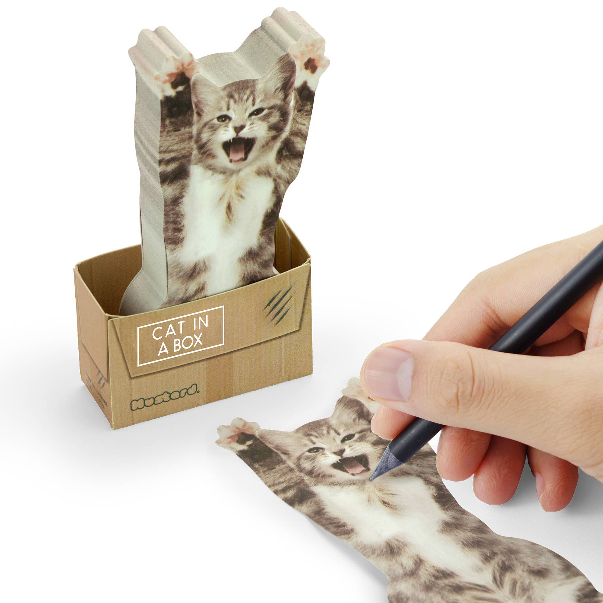 Mustard - Wholesale Sticky Notes - Cat In A Box Sticky Notes1