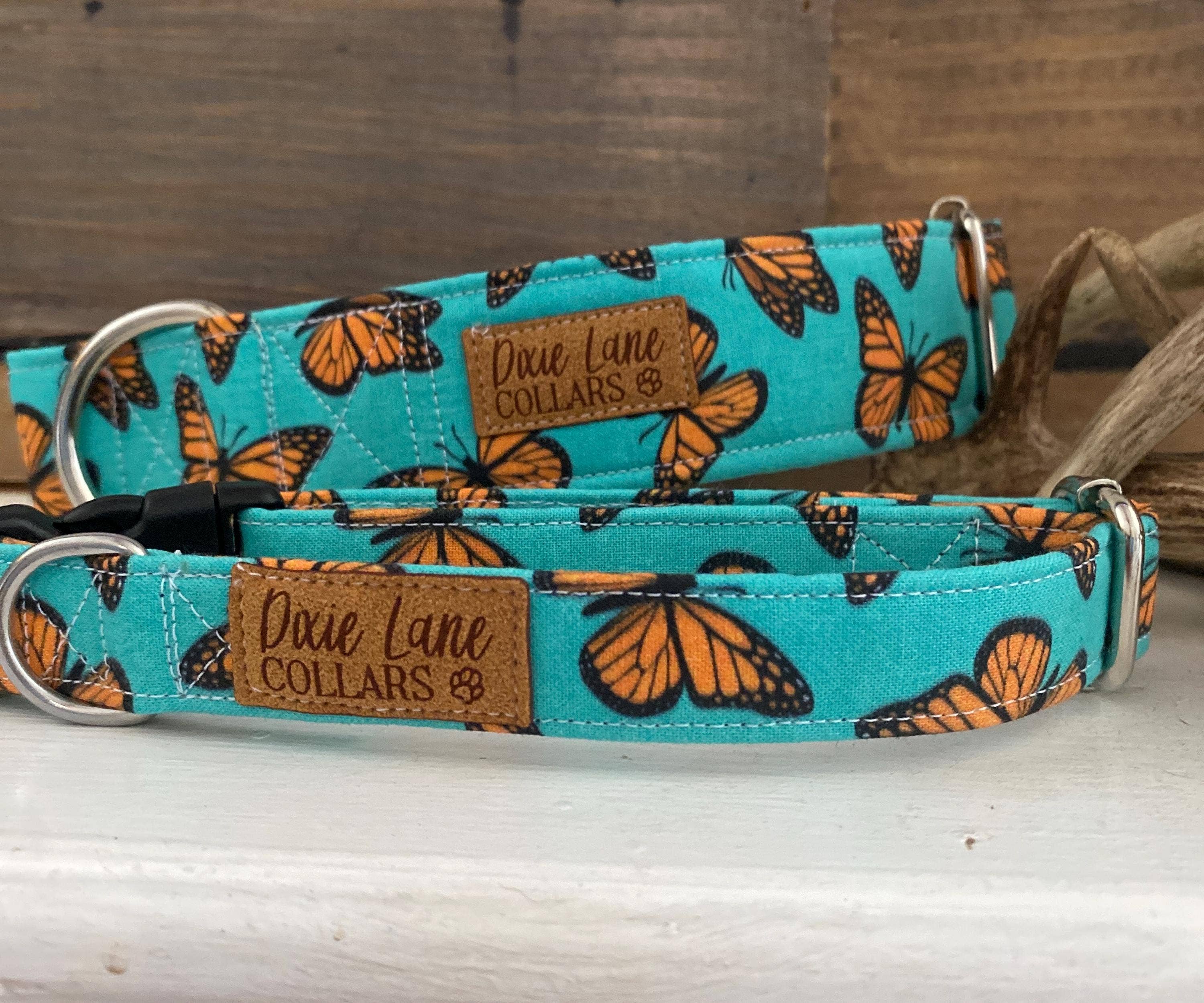 Dixie Lane Collars - Wholesale Pet Collar - Dog - Teal and Orange Butterlies Dog Collar, Dixie Lane Collars4