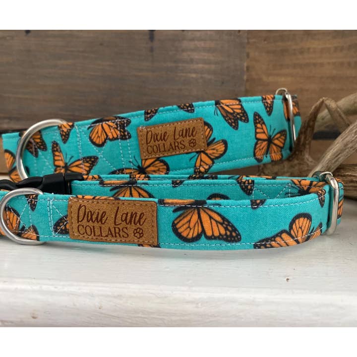 Dixie Lane Collars - Wholesale Pet Collar - Dog - Teal and Orange Butterlies Dog Collar, Dixie Lane Collars4