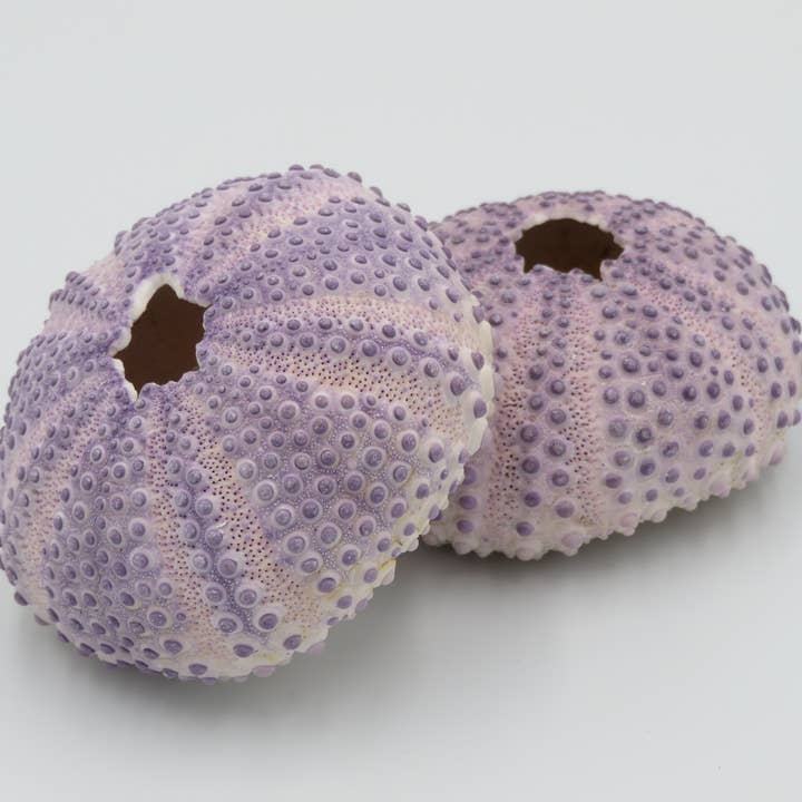 Sjöborrehus - Bulu Babi Lila för wholesale av Product Import Holland