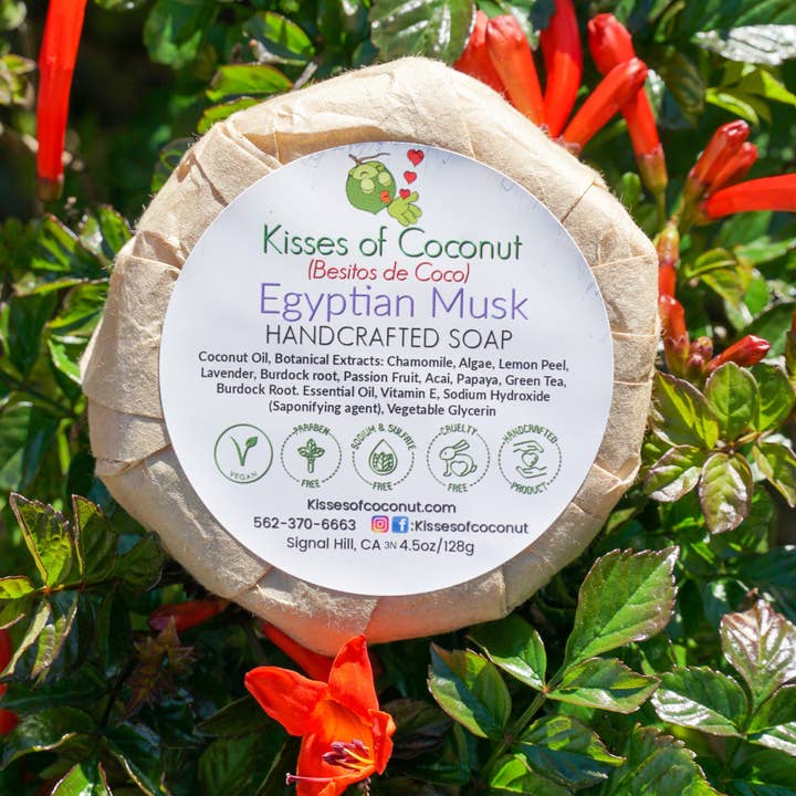 Ägyptische Moschussei für den Großhandel von Kisses of Coconut