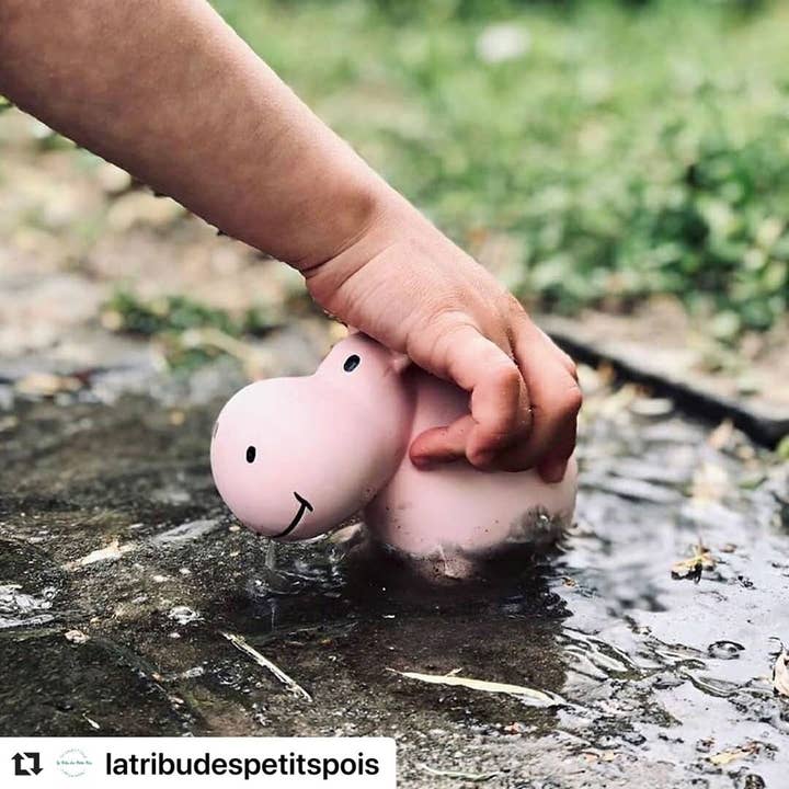 Tikiri Toys LLC - Wholesale Bath Toy - Baby - Hippo Natural Organic Rubber Teether, Rattle & Bath Toy5