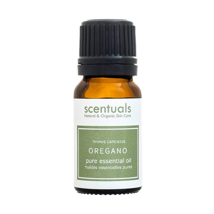 Oregano Luxury Essential Oil for wholesale by Scentuals Natural & Organic Skin Care
