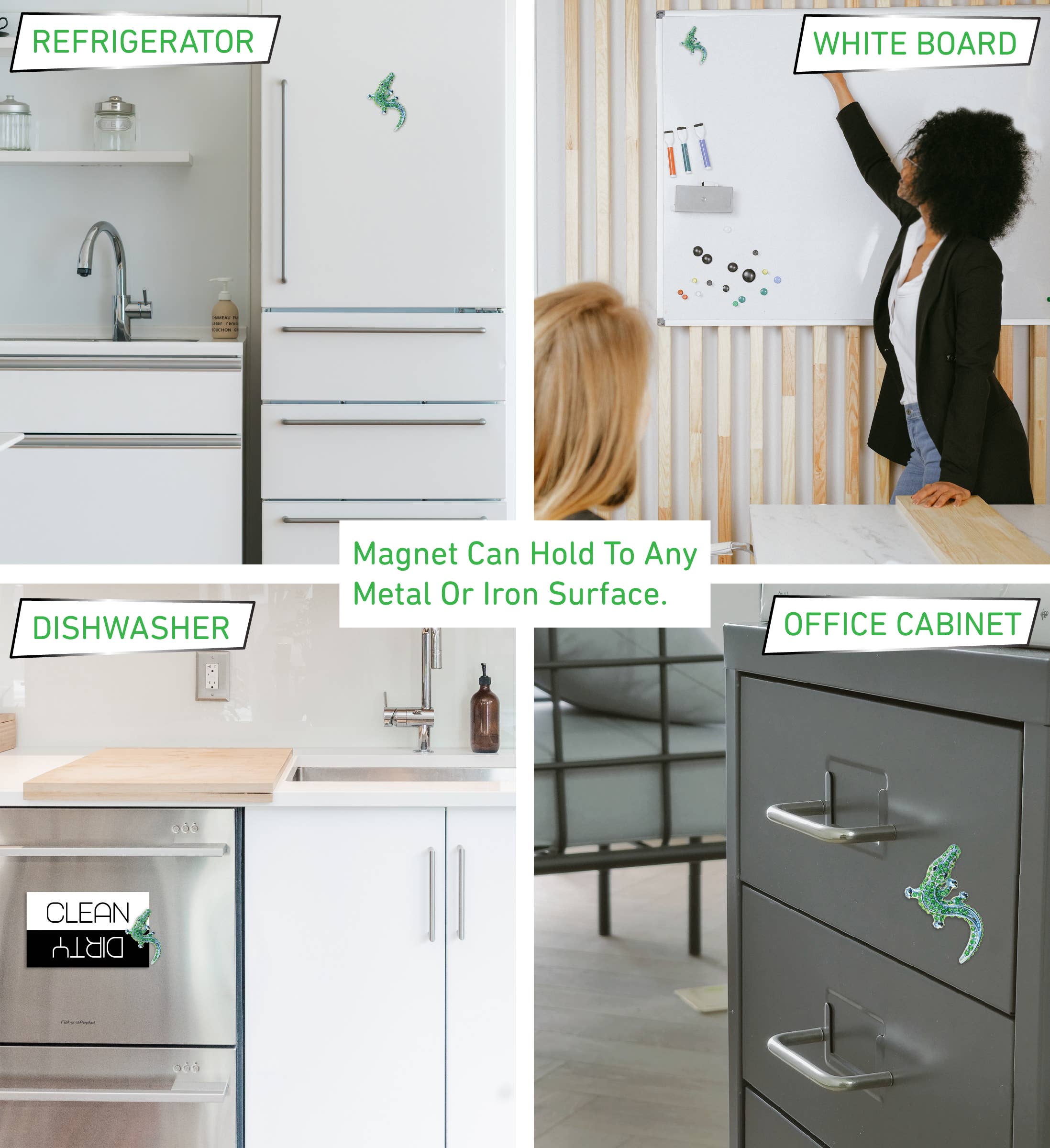 Cota Global - Vendita all'ingrosso Calamite - Magneti Scintillanti - Alligatore3